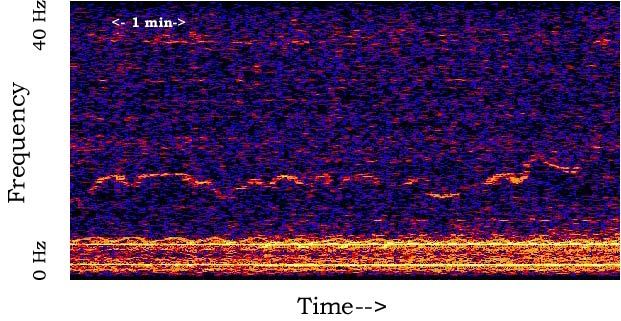 A spectrogram of another unexplained ocean sound recorded on the same hydrophone network.