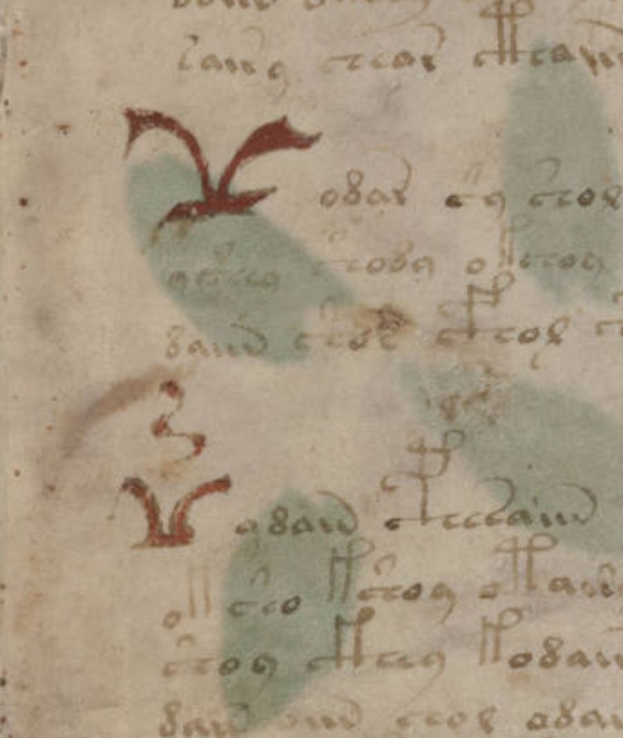 Détail du folio 1r où apparaissent deux grands symboles rouges